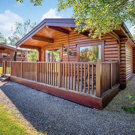 Fingle Glen Lodges Whitestone エクステリア 写真